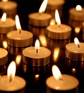 Set Of 50 Hosley Unscented Tealights